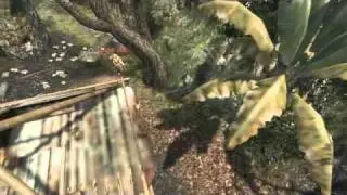 Tryhard Mark - Spawn hawk on jungle