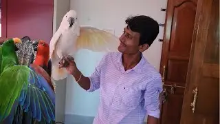 Agra Se Manka Ke Liye Firse Naya Dost Leke Aya.