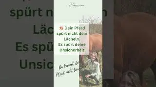 Versuchst du immer noch, dein Pferd zu t&auml;uschen? Reitercoaching Birgit Heigel I #Pferd #angstreiter
