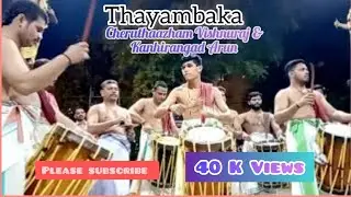 Thayambaka Cheruthazham Vishnuraj & Kanhirangad Arun