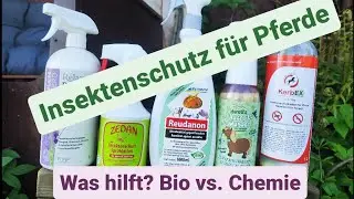 Insektenschutz f&uuml;r Pferde im Test - Bio versus Chemie