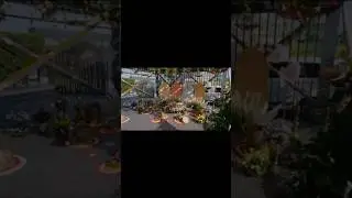 #sorts #youtubeshorts #trending #reels #songs #hafsaree#seromani#decor#flower #decoration #videos