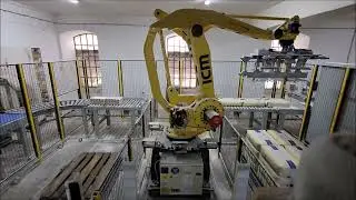Robotic Bag Palletiser for Palletising 25 Bags and Bundle Packs Simultaneously