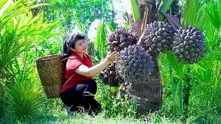 How To Harvest Nipa Palm Tree, Sell It At The Market And Cook Dishes At Home |Tieu Vy Free Bushcraft