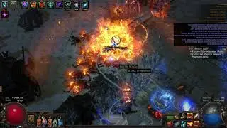 poe t 11 rare