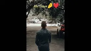 Peace 🤌❤️ #youtubeshorts #shorts #kannada #peace #money #love #youtubevideo #trending #bestfeeling
