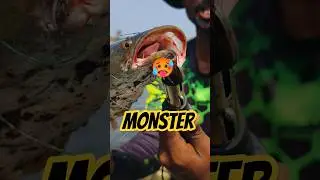 Very powerful fish 👹 watch full video #fishing #monster #snakeheadfishing