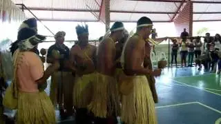 Tribo Pipip&atilde;