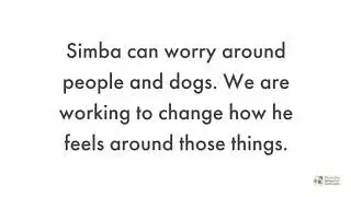 Simba Trains at the Greenway by Rewarded Behavior Continues