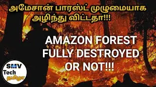 Amazon | forest fire in Tamil. #Forest  #natural
