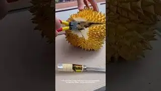 🔥Can a clumsy person open a durian in 10 seconds? This pair of pliers is outrageous! #machine