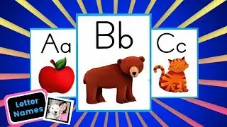 ALPHABET LETTER NAMES Wonders Sound Spelling Cards