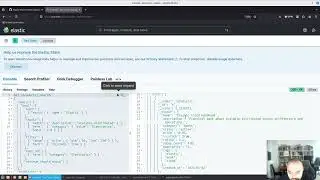 Elasticsearch Advanced Querying and Query Profiling