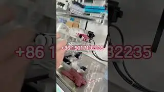 Servo Driven Screen Printer for Disposable Cups