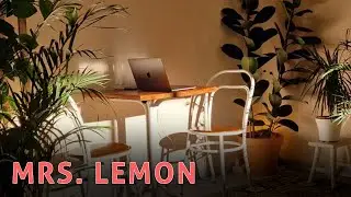 Mrs. Lemon: no novo caf&eacute; plant-based na Ajuda at&eacute; pode ter aulas de ioga