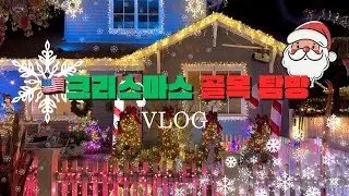 🇺🇸Bay Area 크리스마스 골목 산책 | San Carlos Christmas Lane 겨울 브이로그