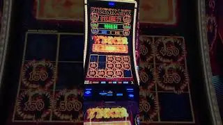 Phoenix Link Phenomenal Bonus!