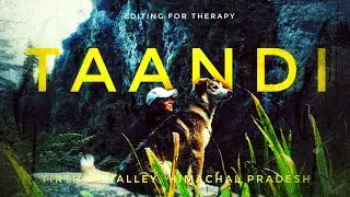 Taandi - A Seclusion in Tirthan Valley.