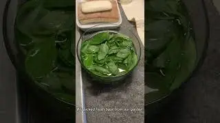 Making Three Cup Tofu