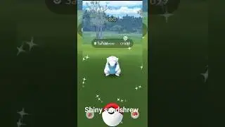 spot light hour of sandshrew caught in wild ✨  #1k #pokemon