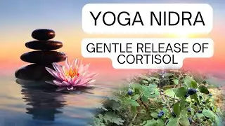 Yoga Nidra Gentle Release of Cortisol