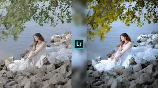 Grey and yellow colour tone Lightroom photo editing//Lightroom preset download free//