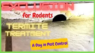 How to exclude for rodents, Termites Treatment-Trenching method, Apr 16