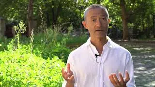 Zheng Bo, how do you approach your work on plants as an artist?