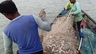 Fish Catching In Odisha sea 4 jul 2024