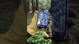 Finding My Hidden Trail Camera In The Wild Woods #shorts