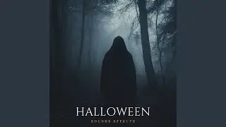 Ghostly Apparition Sounds