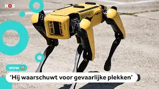 Robothond Spot voor het eerst in Nederland te zien