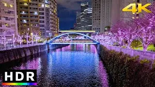 Meguro River Tokyo Christmas Lights // 4K HDR