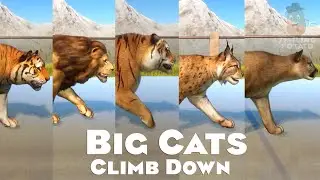 Bengal Tiger, Lion & Other Big Cats Climb Down in Planet Zoo | Planet Zoo Gameplay