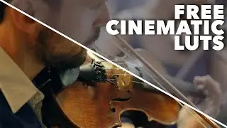 FREE Cinematic LUT Pack / 5 Custom LUTs (Download Link)