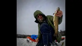 What a Disaster! An Epic Fail! (Miraculously managed to slay a pile of nice trout)