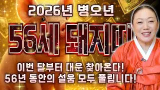 [2026년 56세 돼지띠운세] 내가 71년생 돼지띠라면 올해 정확히 이렇게 됩니다! 금전 귀인 대운 들어왔다! 71년생 돼지띠의 운명과 말년운세 / 병오년 56세 돼지띠 신년운세