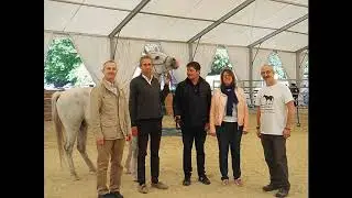 Equicoaching - Formation equicoaching Groupe Orange, con&ccedil;ue et r&eacute;alis&eacute;e par Equicoaching Events