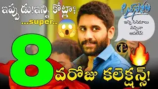 Love Story Movie 8th Day Collections | Love Story Sixth Day Collections | Day8 Love Story Collection