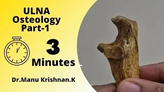Osteology of Ulna(Part 1)- Upper end of Ulna