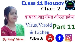 Biological Classification Class11 chapter 2 ( VIRUS, VIROID & LICHEN) By Saroj maam #bioconnections