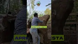 Arco de SuperAdobe #bioconstrucci&oacute;n #permaculture #finca #construcci&oacute;n #barro #tierra