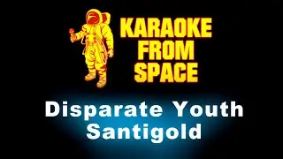 Santigold • Disparate Youth | Karaoke • Instrumental • Lyrics