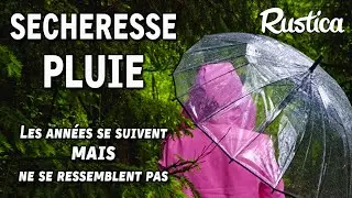 2023, trop de pluie au printemps, les années ne se ressemblent pas