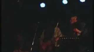 Snarski vs Snarski: Black Crow In A Loquat Tree 2010