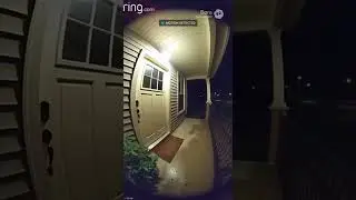 This was caught on our Ring cam at 3:17 AM&hellip; we still don&rsquo;t know what it was.&rdquo;
