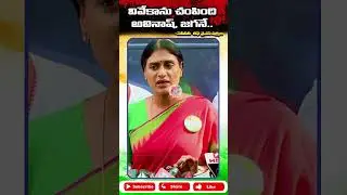 V9 LIVE  NEWS//Avinash Reddy&rsquo;s role in Viveka murder case is exposed, says Y.S. Sharmila