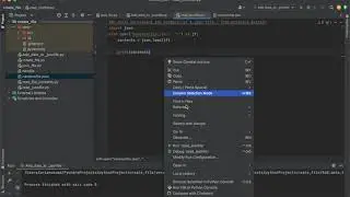 How to Read a Json File in Python