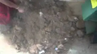 organic waste conversion process