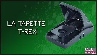 Les tapettes à souris T-Rex